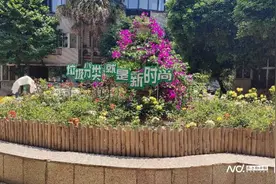 “近零碳社区”潮流之下，一个普通小区的低碳行动图片