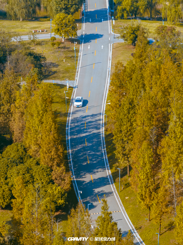 文旅湘江丨绝对不可以，错过长沙版的「秋日芦苇海」