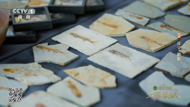 辽宁朝阳：三燕故都 辽塔千年