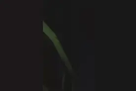 晚上8点！余杭多人目睹不明飞行物，成列闪烁马上消失！网友：吓得忘了拿手机！图片