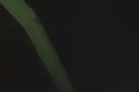 晚上8点！余杭多人目睹不明飞行物，成列闪烁马上消失！网友：吓得忘了拿手机！图片