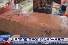 当东北胖头鱼被“一键下单”到南方 便有了“一鱼三吃”图片