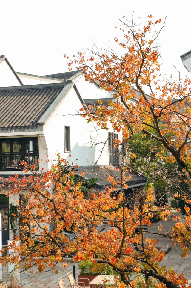 美翻了~这个秋假，来南湖吧！