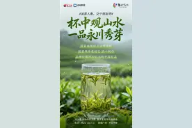 2025鲁渝协作促消费·重庆茗茶专场展销会 | 北纬30°的云雾馈赠：品味重庆永川秀芽的鲜爽兰韵图片