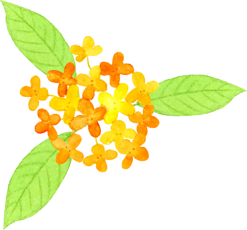 跟着节气来打卡 | 今日立冬，美好正当时！来南宁收藏一帧初冬的浪漫画卷