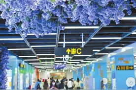 “地铁+旅游” 新玩法新体验图片