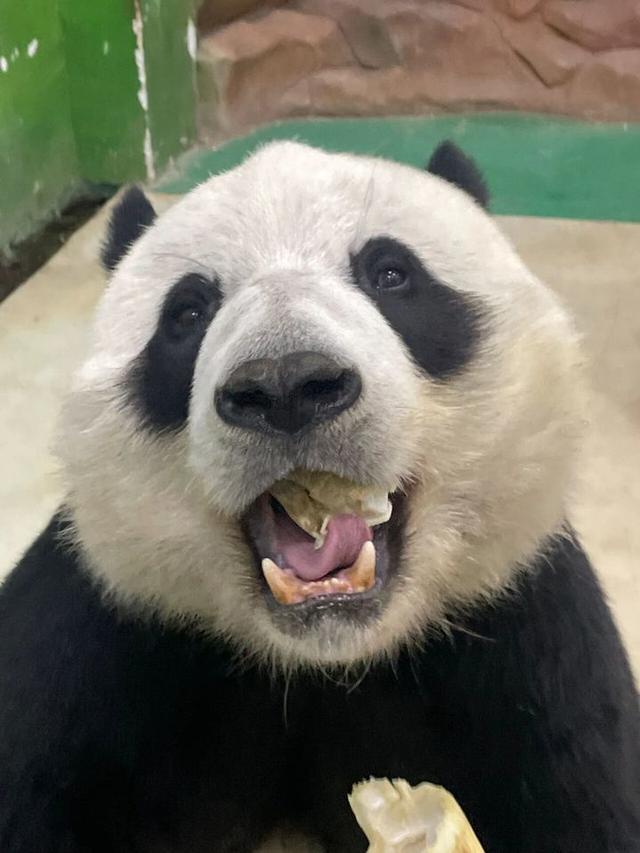 教师节福利！江苏两地多个景区官宣：免费！