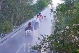 “无痛爬山”？有人早就试过了图片