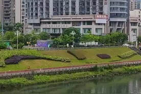 业主称购商住房20年未实现一户一表，供电部门：或涉历史遗留问题图片