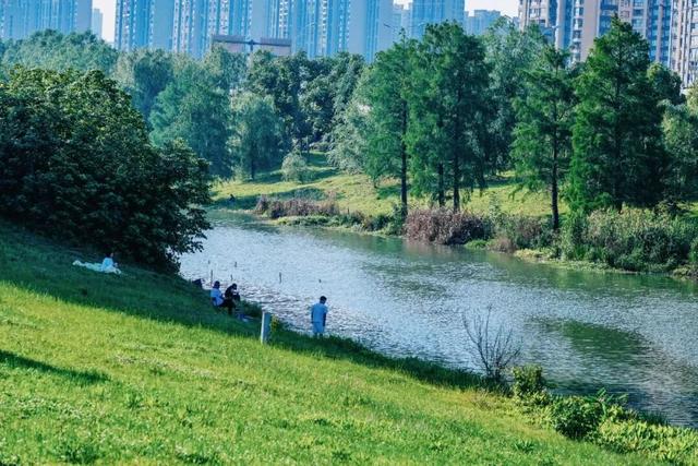 免费+市区！武汉这5 处宝藏露营地，地铁可达