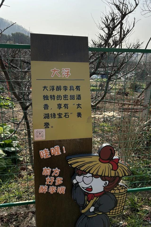 太火爆！无锡人最近都在…