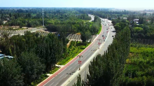 敦煌：冬春造林跑出“加速度” 为文化旅游名城建设注入强劲动能