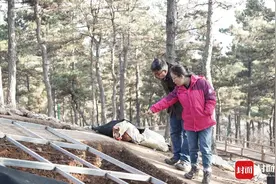 5800年前的红山人，如何修建“超级工程”？｜考古队长⑧图片