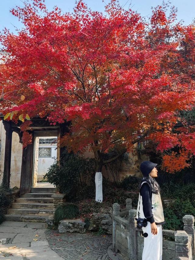 如画江西的冬日惊喜，是什么样子的？