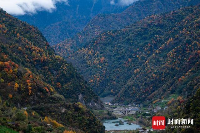 最佳观赏季来了 在红叶彩林间追逐初冬浪漫 | 图集