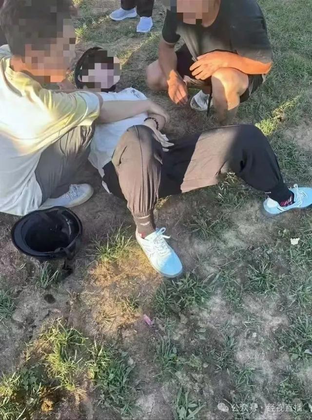 当地回应游客被马踢中隐私部位
