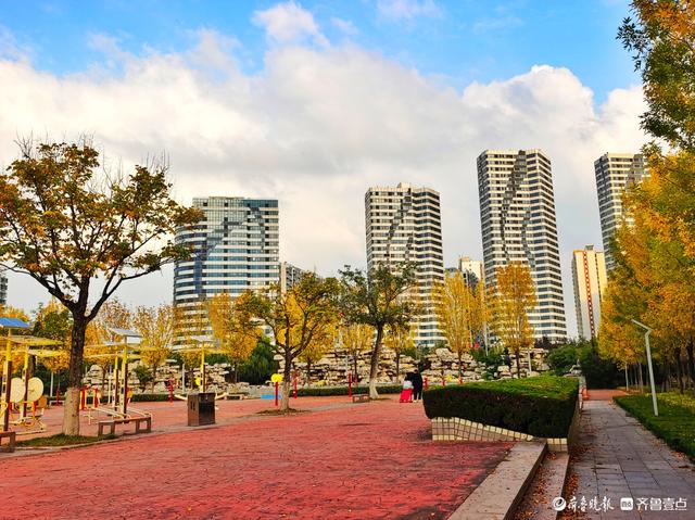 沂河岸边秋景美，抬眸尽是好风光