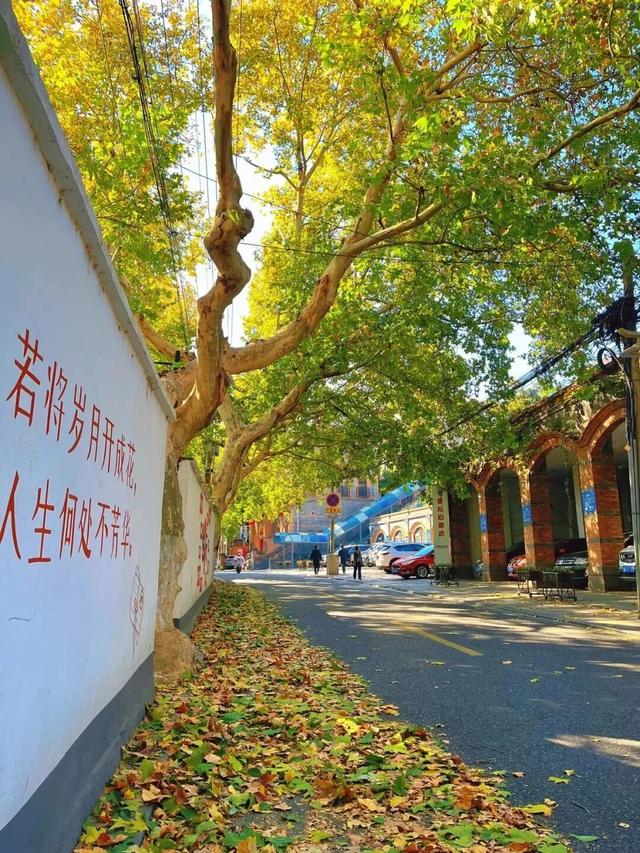 镇 江 开 启 浪 漫 模 式