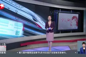 高铁调价引热议  铁路发展与公众利益如何平衡？图片