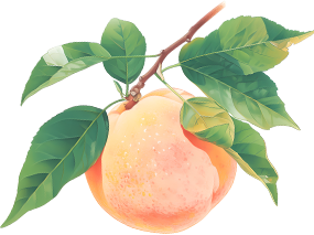 熟了熟了！周末走起！昆明采摘地图“上新”，速来eat→