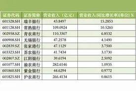 10家A股农商行去年年报：瑞丰银行营收增速领跑，常熟银行等4家净利增速超11%图片