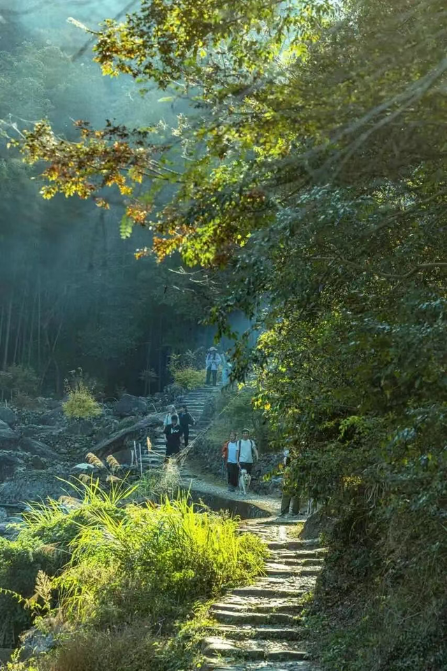 绝美！奉化这些宝藏步道，秋天走起正好→