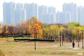 寒潮来袭！未来三天，青岛气温持续走低，最低温1～3℃！图片
