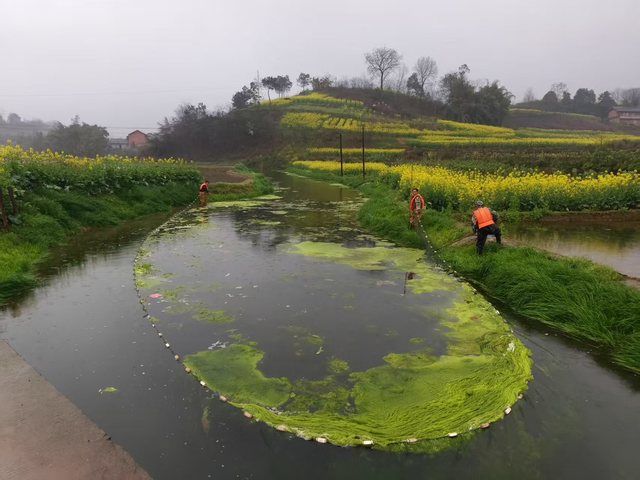 碧水濯清波 古韵焕新生 自流井以“生态之笔”书写“文化长卷”