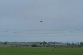 科学防控病虫害，农业专家建议这样做图片