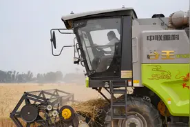 央媒观豫丨“又美又飒”！河南“00后”女机手踏麦浪一路向北图片