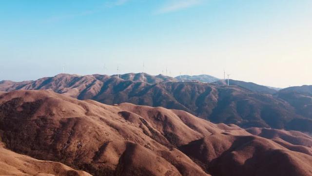 在桂林过大雪：暖汤、红柿、碧水…藏着南方冬日最惊艳的色彩