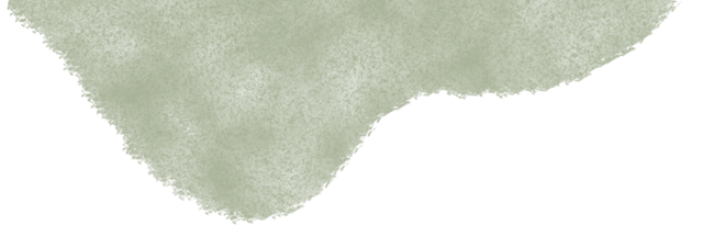 一场关于“景山”的古树自然课，触摸时光的形状，你来不？