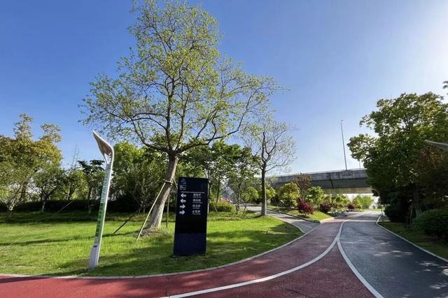 四季流转，青浦这座公园的颜值从来不掉线！