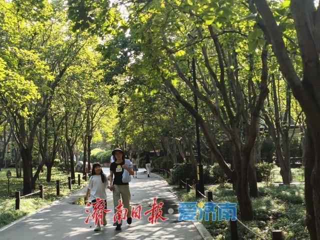 一年四季 泉在济南丨济南百花公园：秋日午后休闲好去处