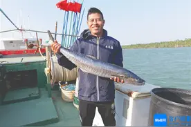 海南鲜品丨海南人过年为何“锁鲜”这条鱼？图片