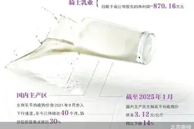 骑士乳业2024年净利润转亏图片