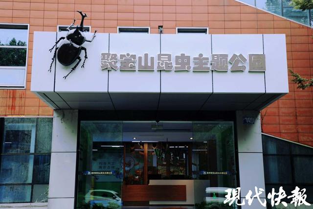 假期去哪嗨？南京聚宝山公园城市户外运动嘉年华精彩继续