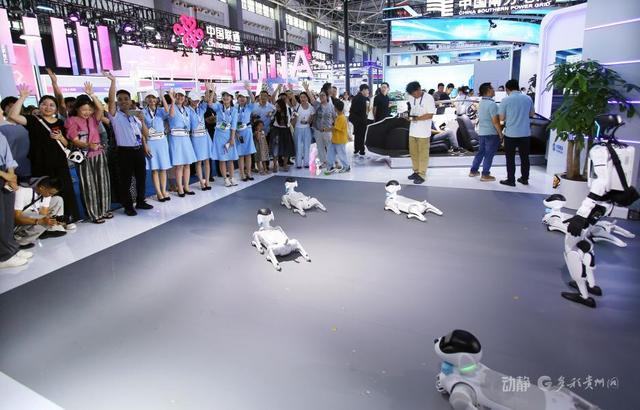 动静影像丨2025数博会，科技盛宴引贵阳市民争相打卡