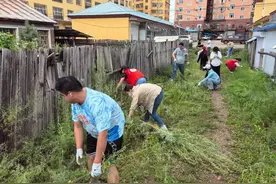 内蒙古多地开展清除蒿草行动，一地宣布每公斤可兑1元奖励图片