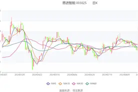 思进智能：2024年上半年净利润1.21亿元 同比增长166.50%图片