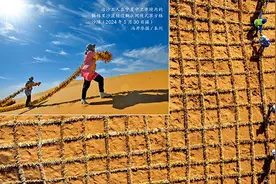 瞭望 | “治沙魔方2.0”、生物“面膜”……沙丘藏有“黑科技”图片
