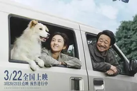 影评丨《我会好好的》：愿小狗带给你成长和温暖图片