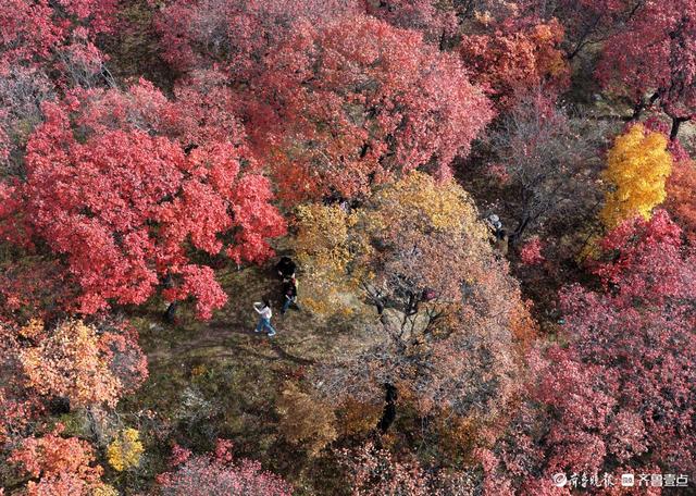 立冬时节，景色如画