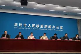 武汉发展现代都市农业，科技赋能特色农产品：汪集鸡汤“煨”出5亿元产值图片