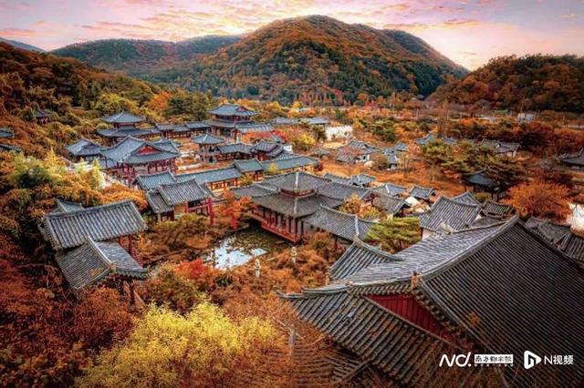 9月29日起团队免签，赴韩旅游市场加速恢复