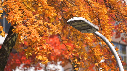 冬至丨解锁桂林的多彩冬天！