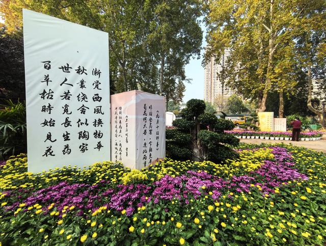 想要漫步菊海？请来郑州人民公园共赴跨越千年的文化对话