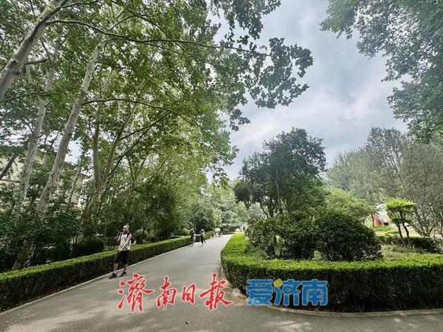 百花公园绿树成荫景如画 市民休闲好去处