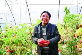 宁夏银川市贺兰县习岗镇新平村：科技撑起设施农业图片