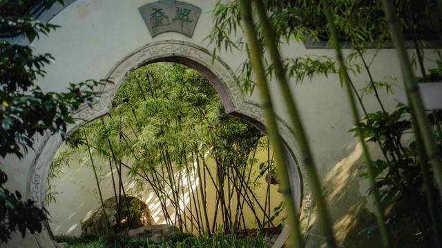 快来嘉定的“避暑山庄”，浸透一园清凉！